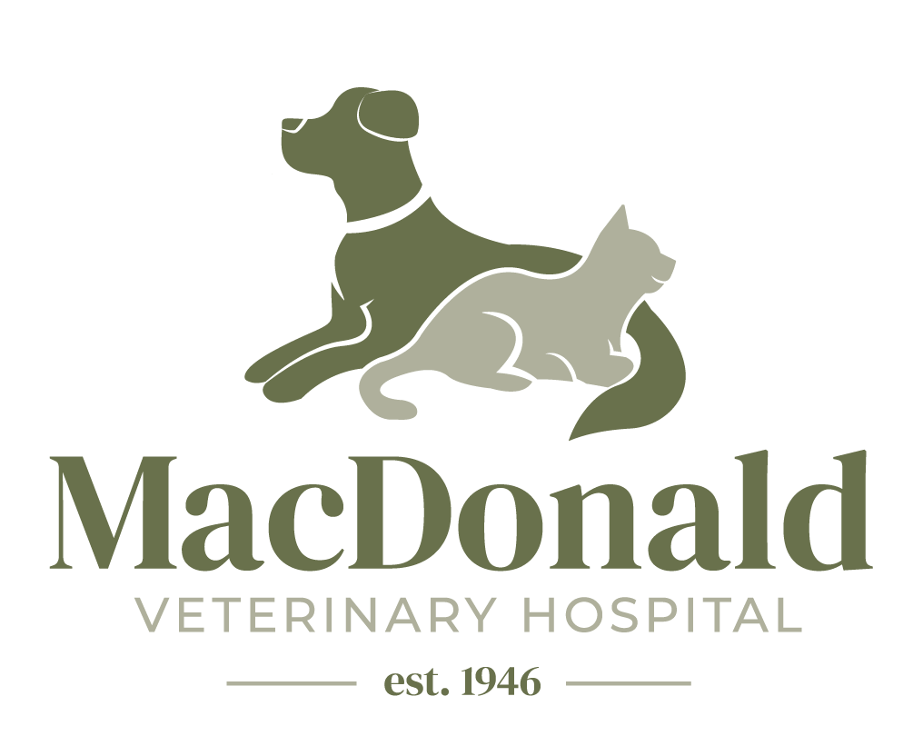 MacDonald Veterinary Hospital